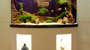 Панорамный аквариум с отделкой в стиле интерьера заказчика
