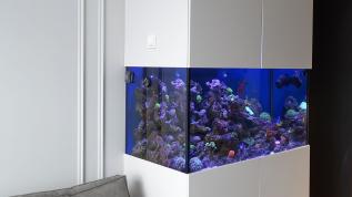 Морской рифовый аквариум объемом 730 литров на заказ