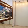 Шкаф-купе до потолка и рифовый аквариум с зеркальной облицовкой