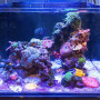 Морской рифовый аквариум OCTO LUX Classic объемом 122 литра