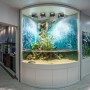 Открытый угловой аквариум - флорариум