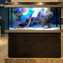 Морской аквариум с муренами в салоне