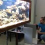 Обслуживание морского аквариума