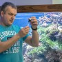 Тестирование параметров воды в аквариуме