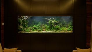 Голландский аквариум в мебельном гарнитуре