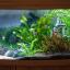 Oformlenie-aqualogo-aquarium-Juwel-vision-180-litrov-1.jpg
