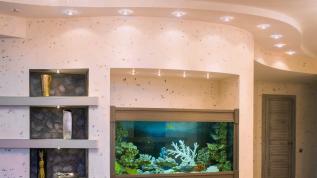 Морской аквариум, встроенный в нишу