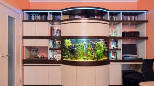Мебельный гарнитур со встроенным панорамным аквариумом Аква Лого