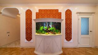 Панорамный растительный аквариум в белой отделке у стены