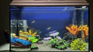 "Черная жемчужина" - детский аквариум объемом 70 литров