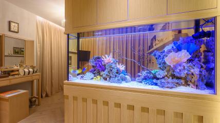 Морской аквариум объемом 230 литров, встроенный в перегородку