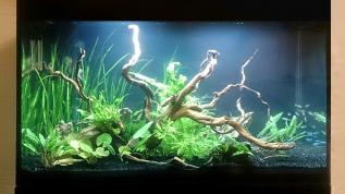 Пресноводное оформление с живыми растениями в аквариуме Aquael Glossy