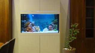 500-литровый морской аквариум в белой отделке