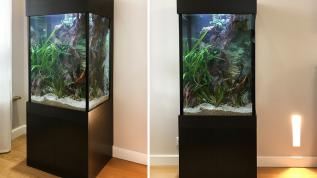 Глянцевый высокий аквариум с пресноводным оформлением с живыми растениями