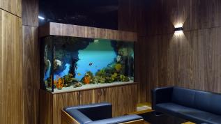 Морской аквариум Аква Лого объемом 1400 литров в офисе