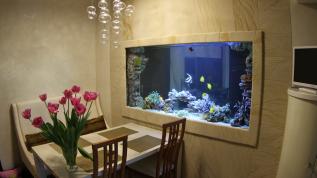 Морской аквариум, встроенный в стену "на просвет"