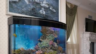 Панорамный морской аквариум Аква Лого