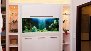 Морской аквариум, встроенный в стеллаж в детской