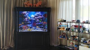 Дуговой морской аквариум объемом 800 литров в игровой комнате
