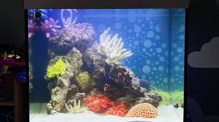 Морской аквариум для детской комнаты