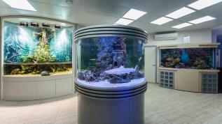 Цилиндрический аквариум - акулятник объемом 1500 литров