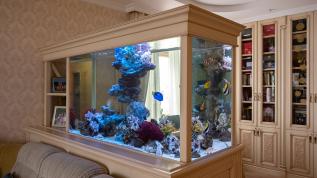 Морской аквариум - перегородка и уютное место для чтения