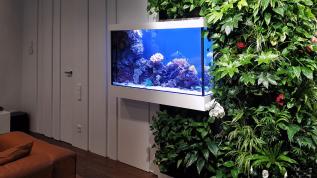 Встроенный в стену на просвет морской рифовый аквариум со смарт-стеклом