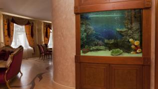 Встроенный аквариум в гостиной