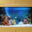 Morskoy-aquarium-Aqualogo-obemom-504-litra-3.jpg