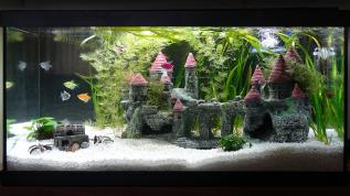 Детский аквариум "Волшебный мир Гарри Поттера"