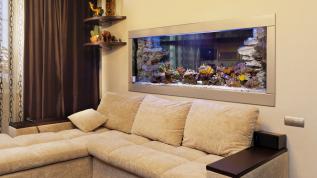 Встроенный аквариум "на просвет" между гостиной и кухней