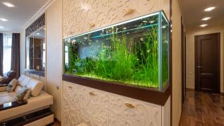 Встроенный пресноводный аквариум с растениями и "авангардными" рыбками