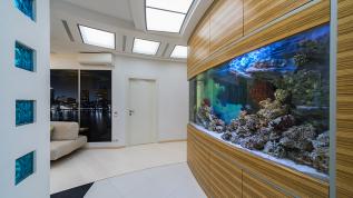 Дуговой двояковыпуклый морской аквариум, встроенный в стену