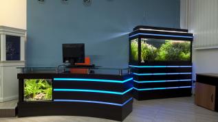 Типовой аквариум Аква Лого АПР-500 и стол менеджера с флорариумом