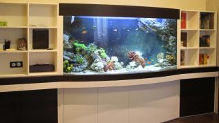 Панорамный аквариум, встроенный в мебельный гарнитур