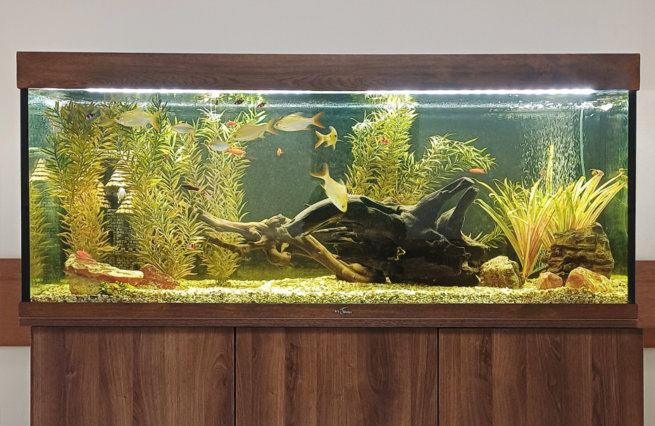 Свободно стоящий у&nbsp;стены