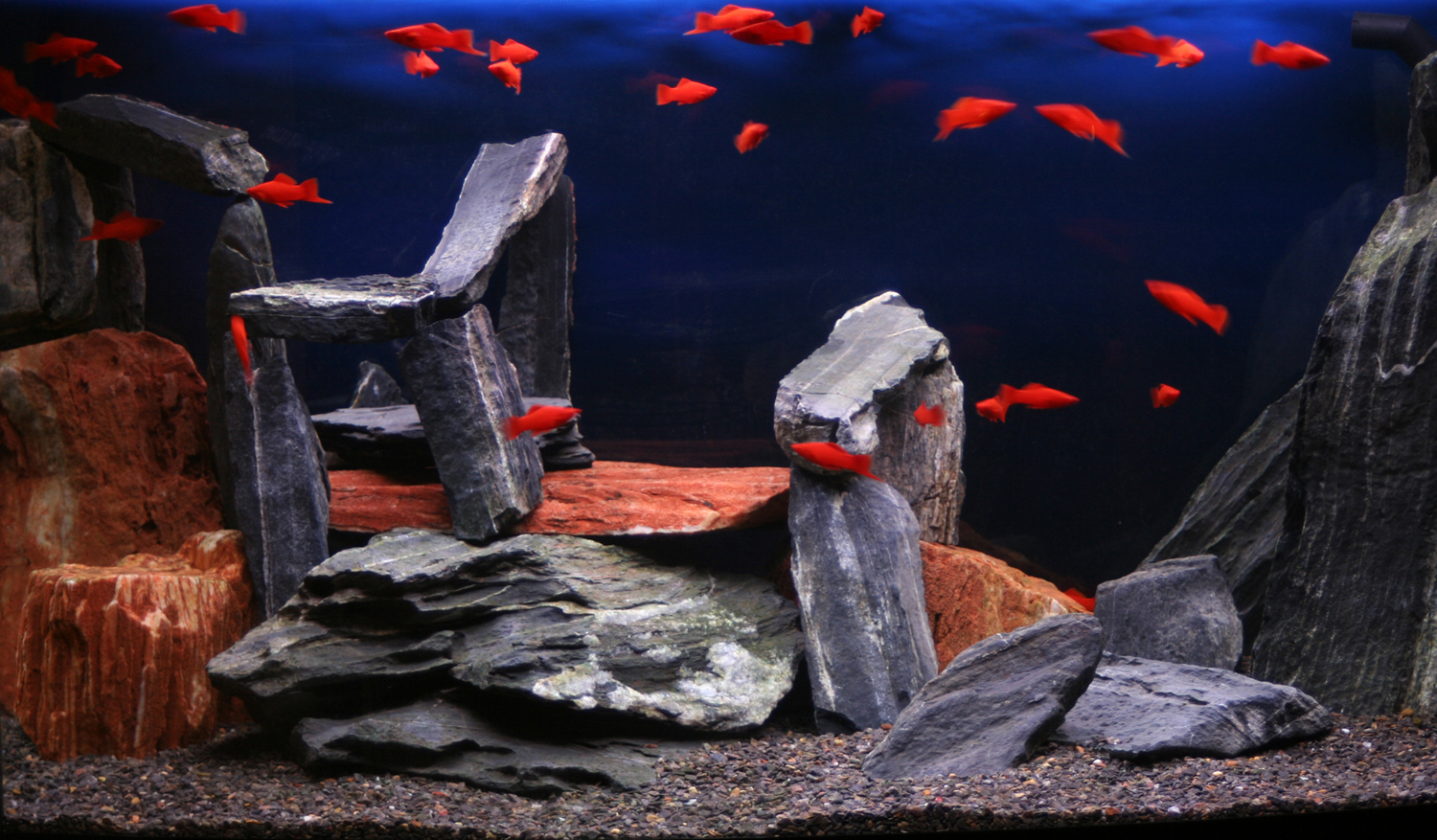 Пресноводное оформление с искусственными декорациями Пресноводное оформление с искусственными декорациями