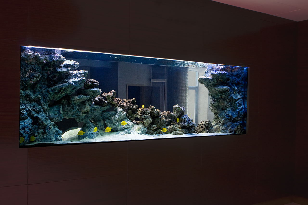 Морское оформление 