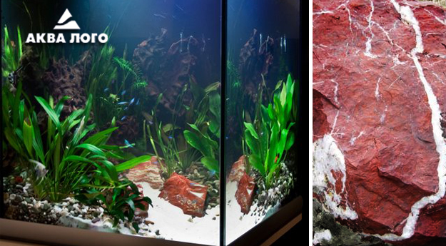 Пресноводное оформление с живыми растениями. Аквариум куб. Архив. 2009год. Пресноводное оформление с живыми растениями. Аквариум куб. Архив. 2009год.