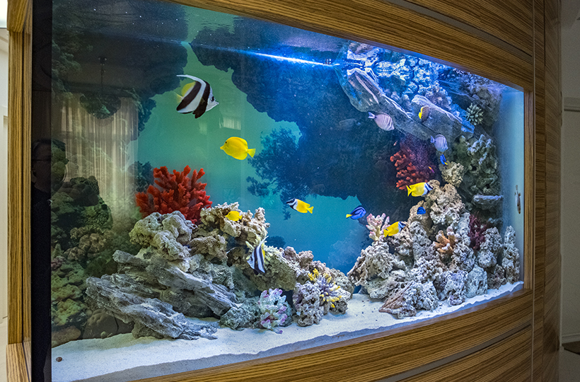 Морской дуговой встроенный аквариум объемом 1100 литров